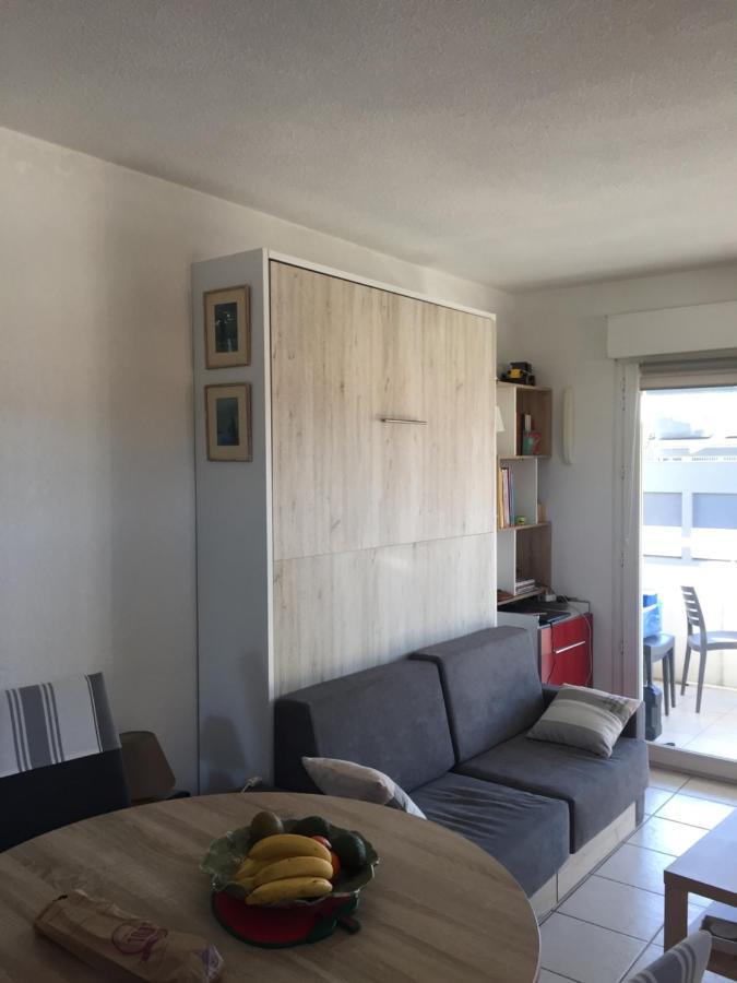 F2 Immeuble Les Pieds Dans L'Eau Apartment Villeneuve-Loubet Luaran gambar